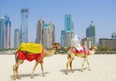 What Is Business and Financial Leverage?